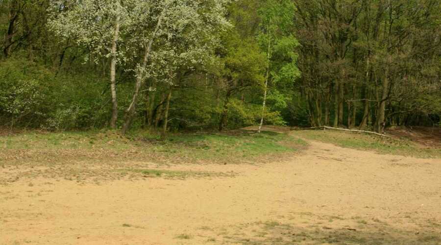 Code geel: risico op natuurbrand in Oost-Vlaanderen