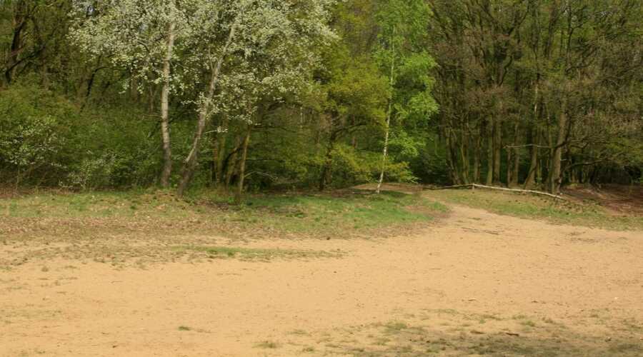 Code oranje: risico op natuurbrand